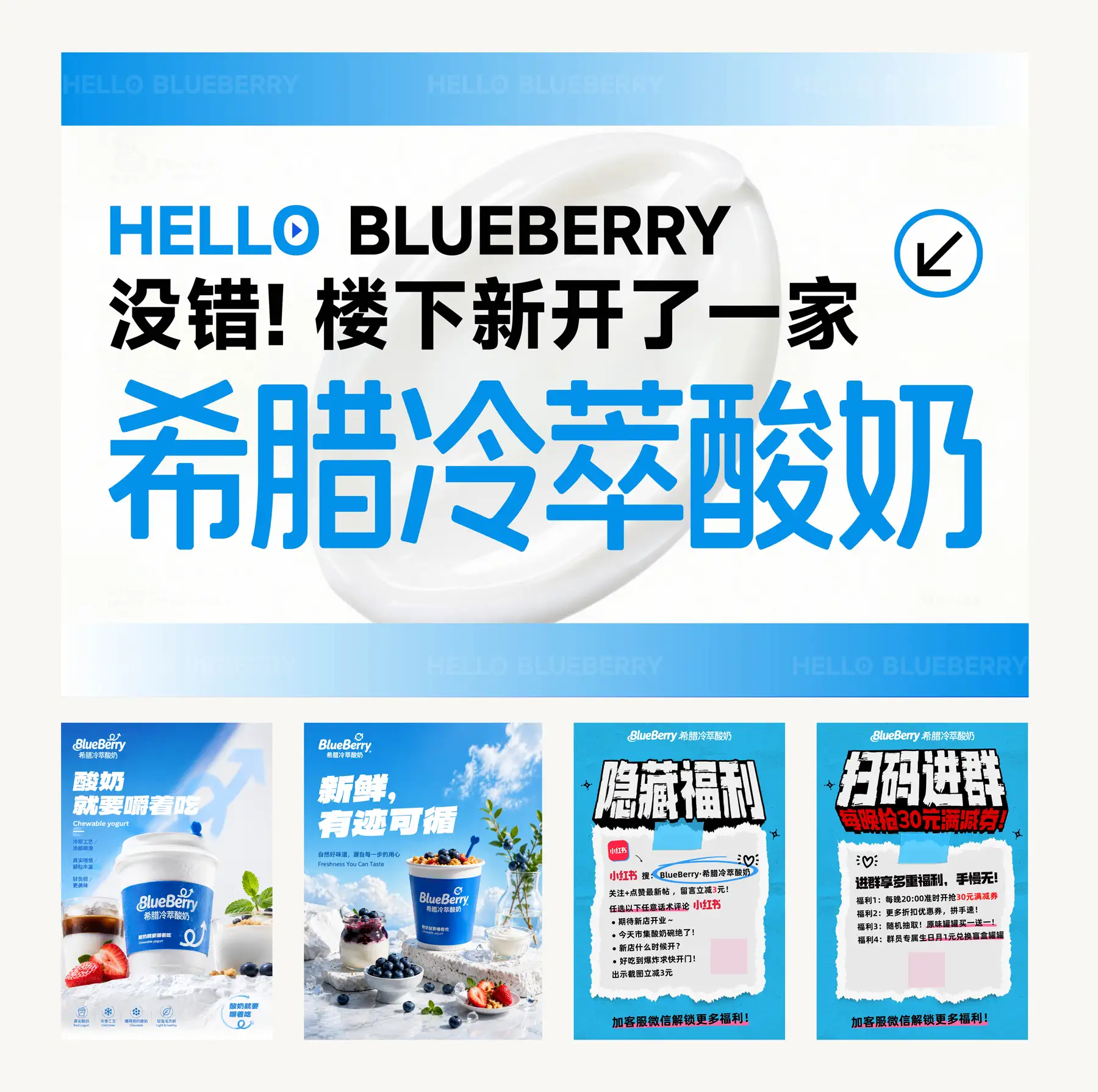 BlueBerry 希腊冷萃酸奶 项目页面 19